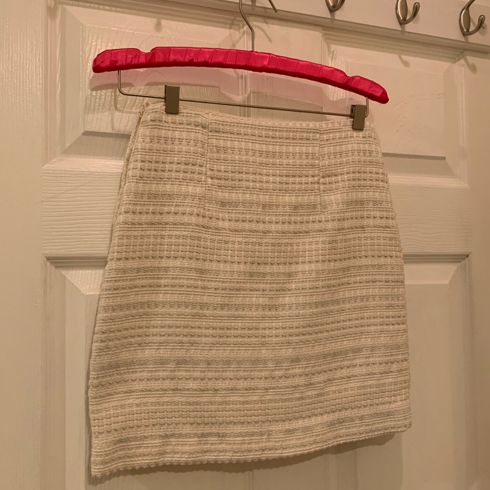 Mini embroidered skirt